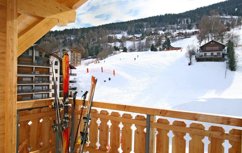 Appartement de 2.5 pièces / accès direct depuis la piste de ski (3)