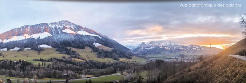 Chalets d'architecte de 4,5 pièces à Châtel-sur-Montsalvens (17)