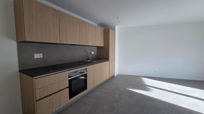 Appartements de 2,5 pièces dans une nouvelle résidence à Gryon. (16)