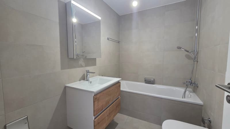 Appartements de 2,5 pièces dans une nouvelle résidence à Gryon. (19)
