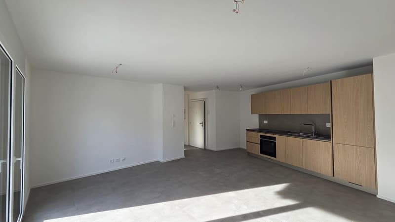 Appartements de 2,5 pièces dans une nouvelle résidence à Gryon. (12)
