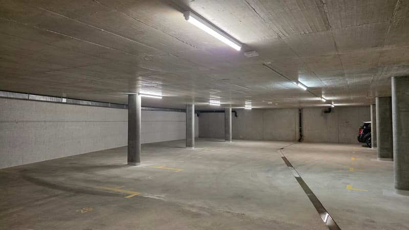 Appartements en attique de 4,5 pièces dans une nouvelle résidence à Gryon. (25)