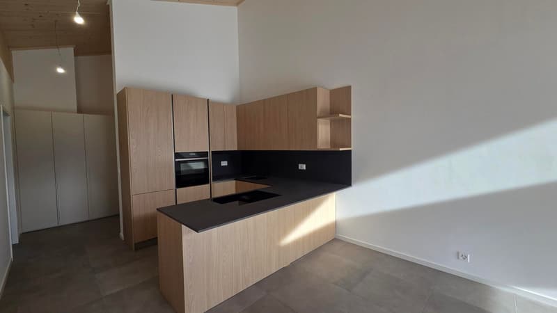 Appartements en attique de 4,5 pièces dans une nouvelle résidence à Gryon. (10)
