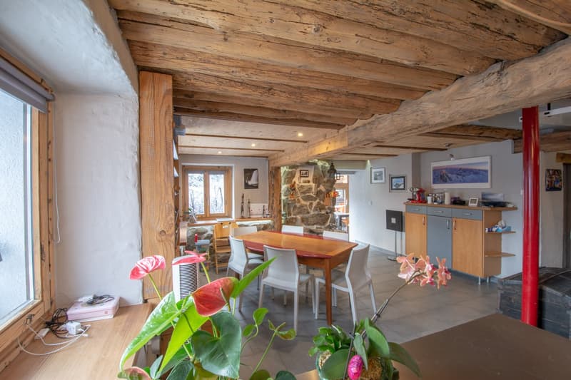 Grand chalet individuel  avec un appartement de 3.5 pièces attenant (5)