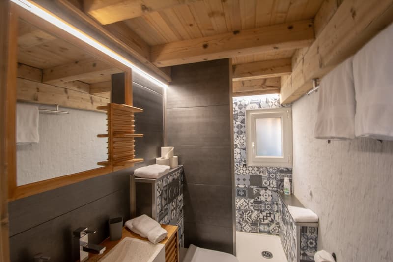 Grand chalet individuel  avec un appartement de 3.5 pièces attenant (30)