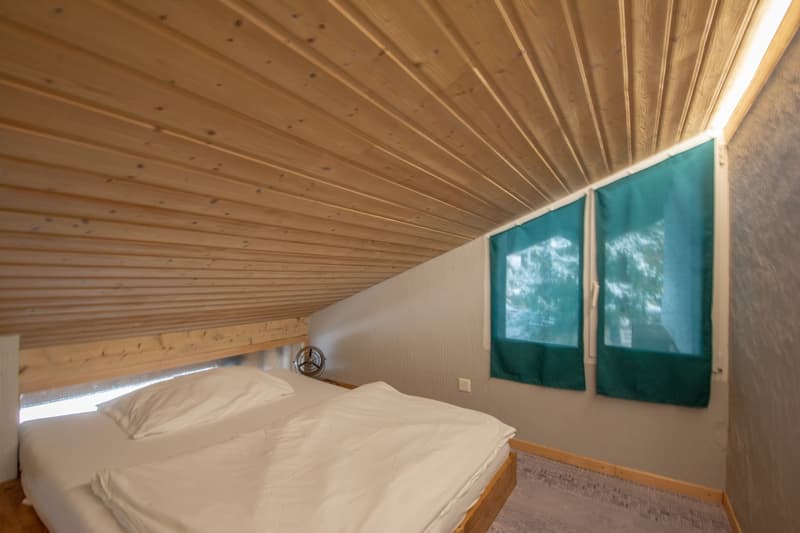 Grand chalet individuel  avec un appartement de 3.5 pièces attenant (31)