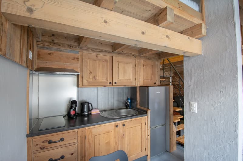 Grand chalet individuel  avec un appartement de 3.5 pièces attenant (28)