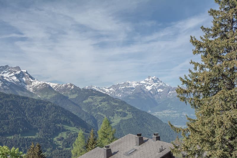 Chalet contigue de 5.5 pièces idéalement situé sur les pistes à Gryon (17)
