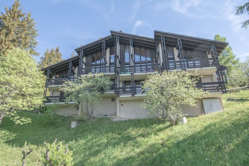 Chalet contigue de 5.5 pièces idéalement situé sur les pistes à Gryon (15)