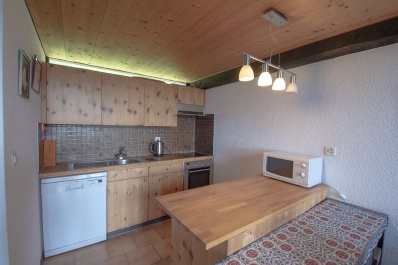 Chalet contigue de 5.5 pièces idéalement situé sur les pistes à Gryon (9)