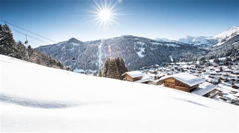 Appartements de 3,5 pièces à Morgins / Résidence secondaire (8)