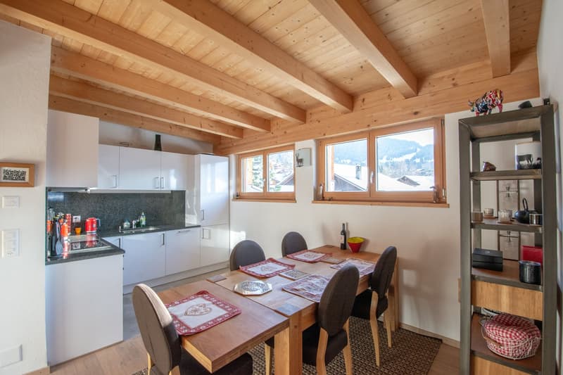 MAGNIFIQUE APPARTEMENT EN DUPLEX DE 3,5 PIECES (2)