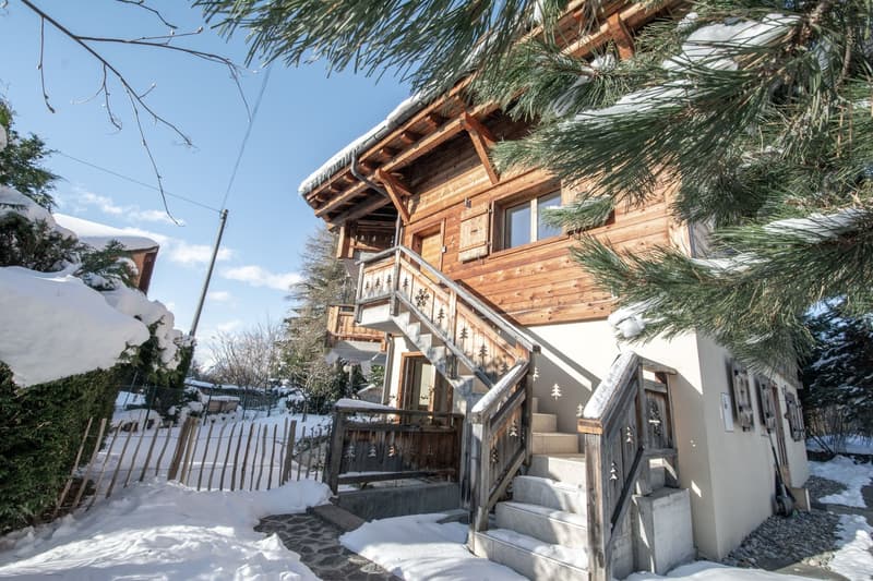 MAGNIFIQUE APPARTEMENT EN DUPLEX DE 3,5 PIECES (14)
