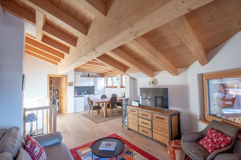 MAGNIFIQUE APPARTEMENT EN DUPLEX DE 3,5 PIECES (4)
