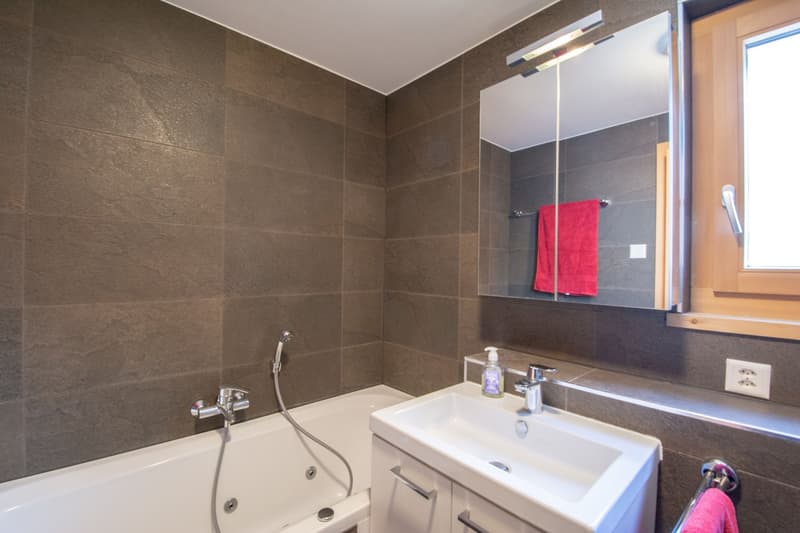 MAGNIFIQUE APPARTEMENT EN DUPLEX DE 3,5 PIECES (10)