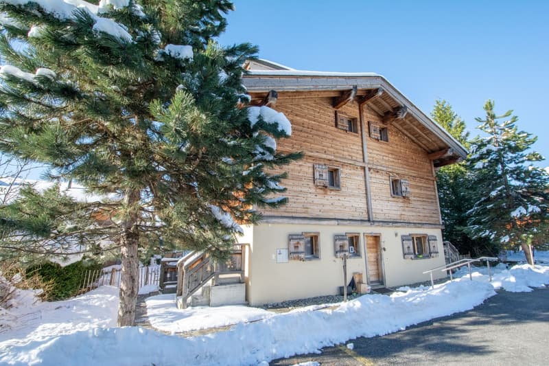 MAGNIFIQUE APPARTEMENT EN DUPLEX DE 3,5 PIECES (15)