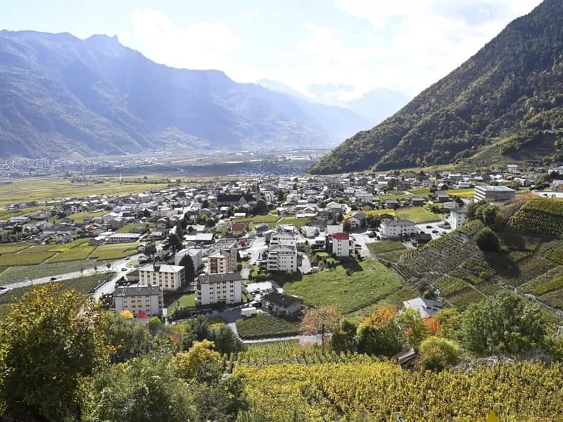 Appartements de 2.5 pièces dans une nouvelle résidence à Chamoson (4)