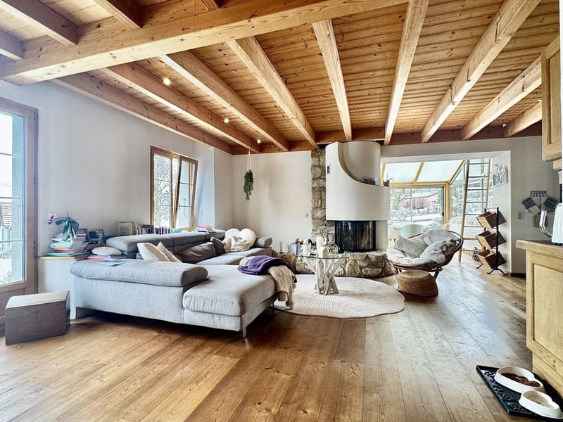 Charming 5.5-room house of approximately 300 m² (1)