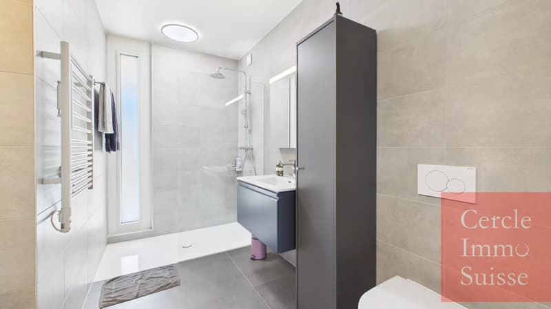 EXCEPTIONAL APARTMENT – 5 ROOMS – PARC DES CRÊTS, TROINEX – 2,290,000.– CHF (10)