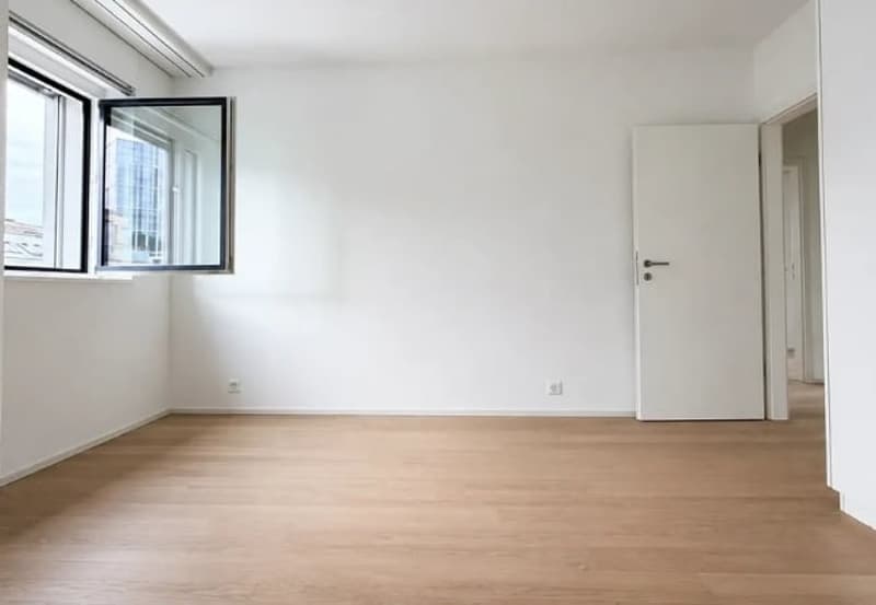 Bello appartamento di 5 locali disponibile subito (2)