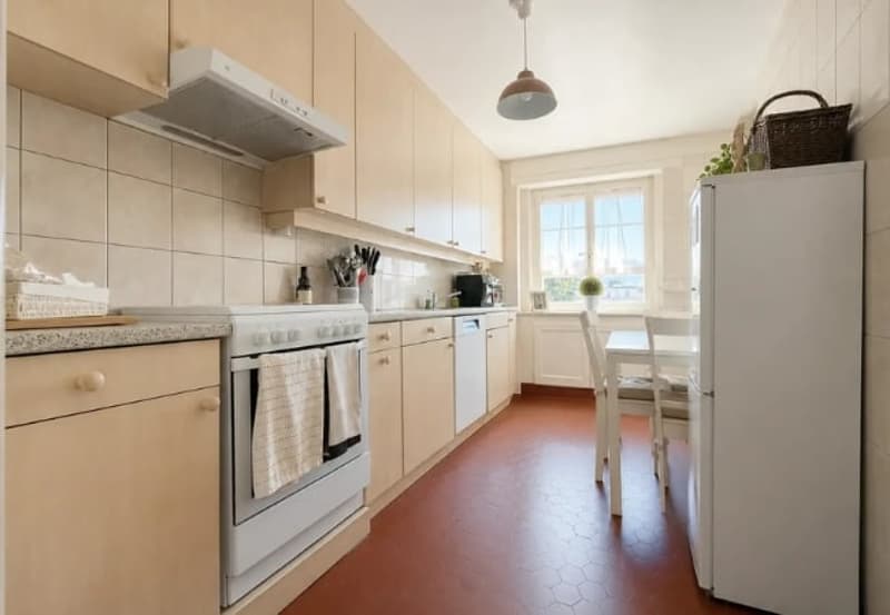 Bello appartamento di 4,5 locali con vista sul Lago di Ginevra (4)
