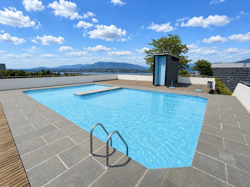Beautiful apartment with pool and view of Lake Geneva (1)