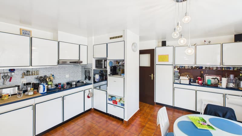 Maison familiale en demi-niveaux avec jardin arboré (3)