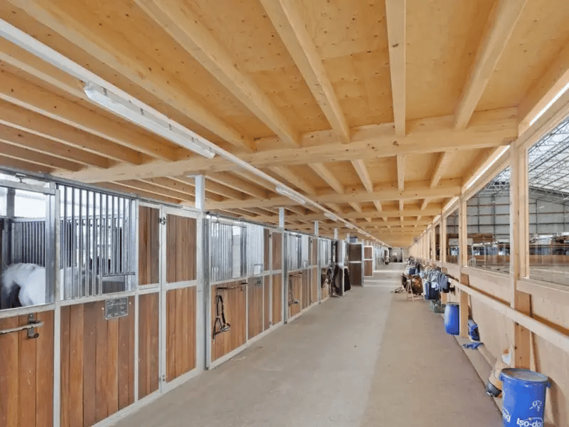 Centre équestre de renom à Yverdon-les-Bains (1)