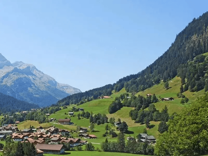 Bel appartement de 4.5 pièces sur plan / "Chalet Spitzhorn" / Gsteig (4)