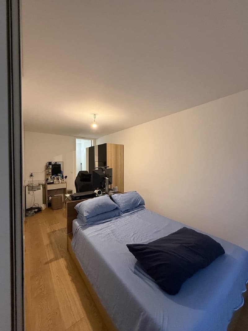 Charmant appartement de 3 pièces au cœur de Genève – Grand-Rue (3)