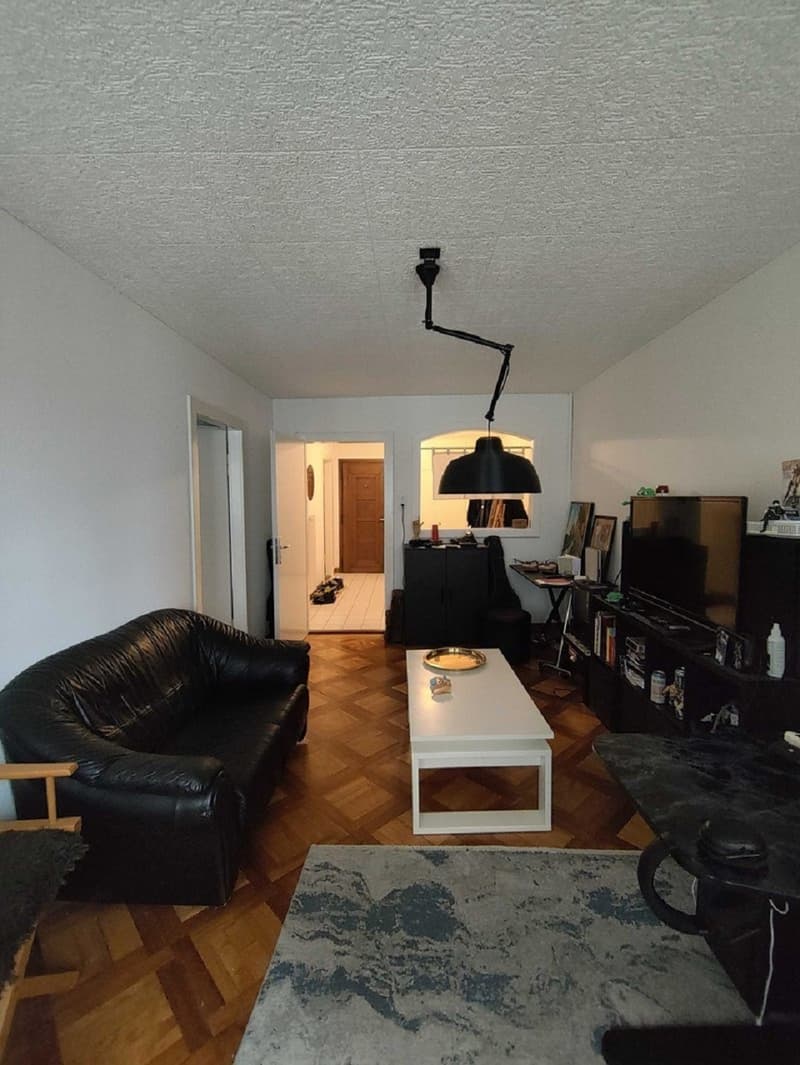 Charmant appartement de 2 pièces au cœur de Fribourg (6)