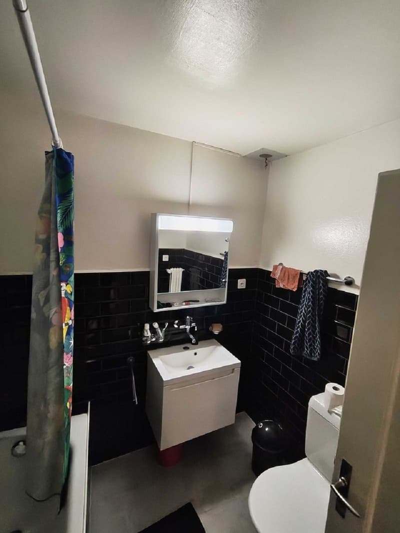 Charmant appartement de 2 pièces au cœur de Fribourg (4)