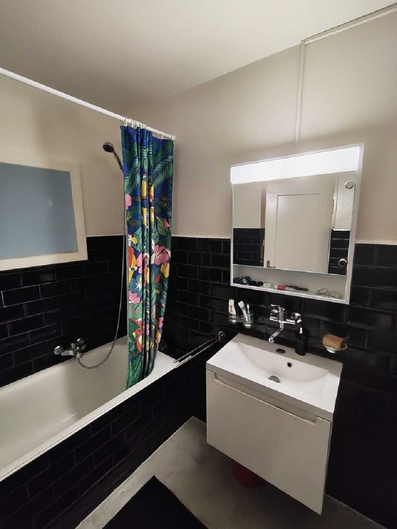 Charmant appartement de 2 pièces au cœur de Fribourg (3)