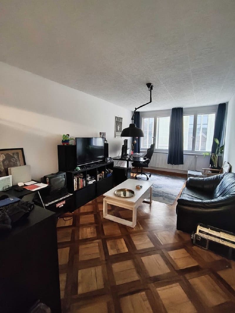 Charmant appartement de 2 pièces au cœur de Fribourg (5)