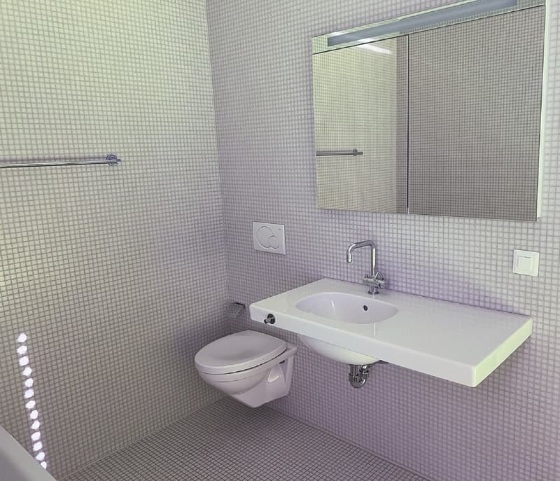 Appartement 3 pièces lumineux avec balcon à Binningen – disponible immédiatement ! (8)