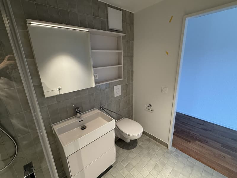 Appartement moderne 3 pièces avec balcon et belle vue à Muttenz (5)