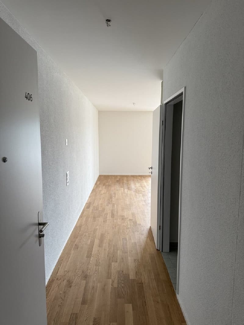 Appartement moderne 3 pièces avec balcon et belle vue à Muttenz (2)