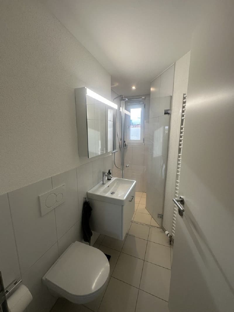 Charmant appartement 2.5 pièces sur Langstrasse à Zurich (6)