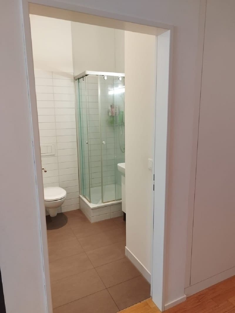 Appartamento di 3 locali luminoso con balcone a Dietikon – disponibile immediatamente! (7)