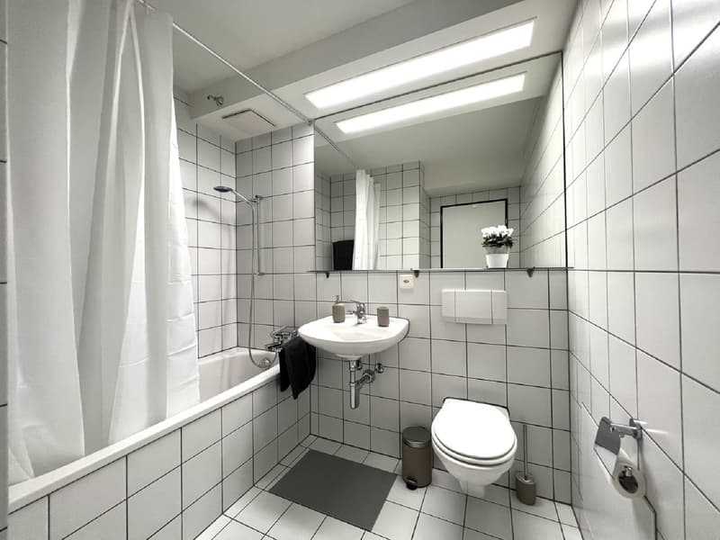 Gemütliche 2-Zimmer-Wohnung an zentraler Lage in Zug (5)
