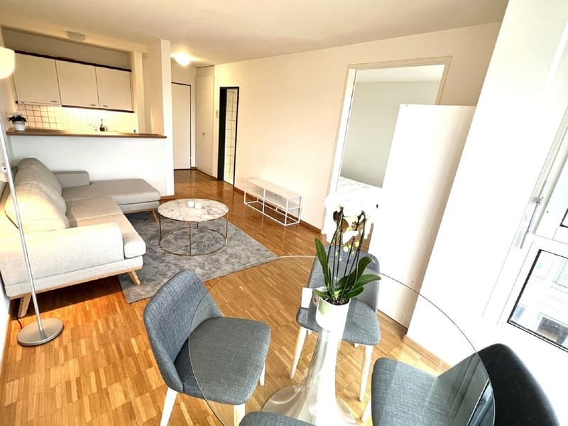Gemütliche 2-Zimmer-Wohnung an zentraler Lage in Zug (7)