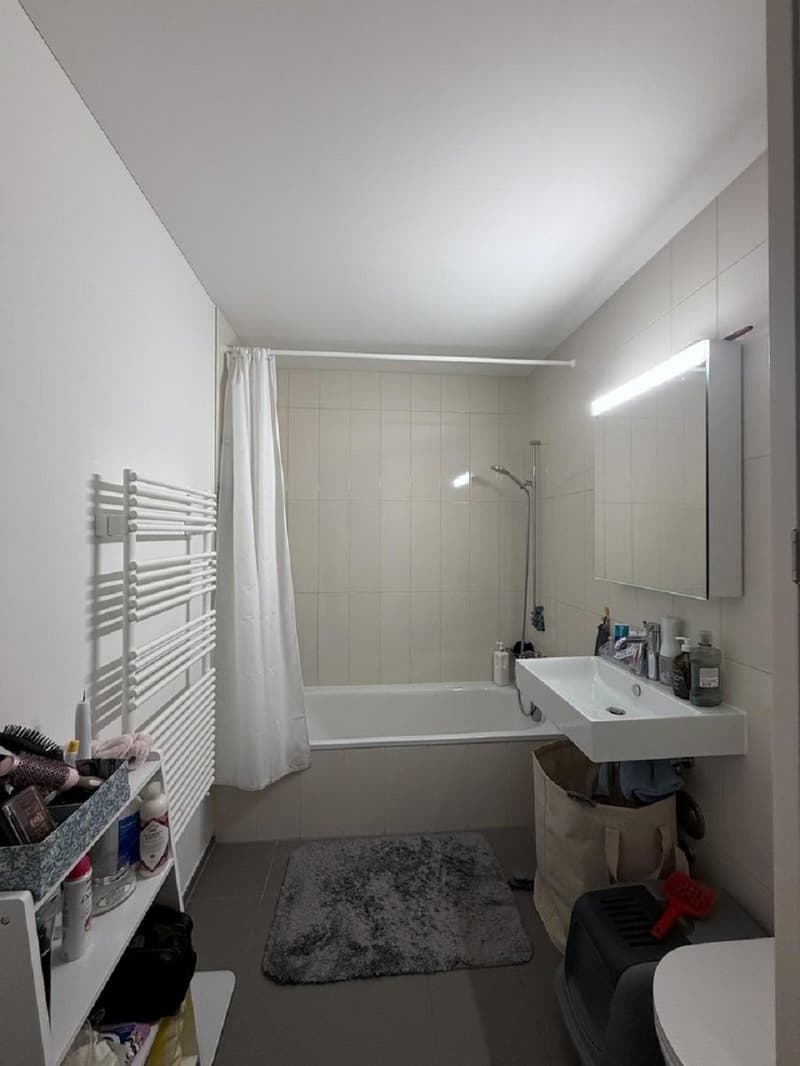 Appartamento moderno 2.5 locali con balcone e vista sulla città a Zürich-Binz (6)