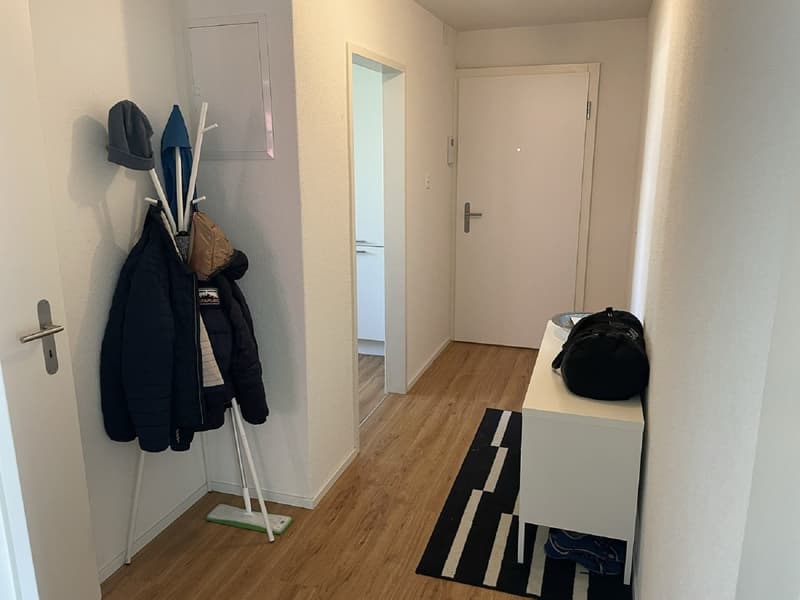 Gemütliche 2.5-Zimmer-Wohnung mit Balkon in Regensdorf – sofort verfügbar! (5)