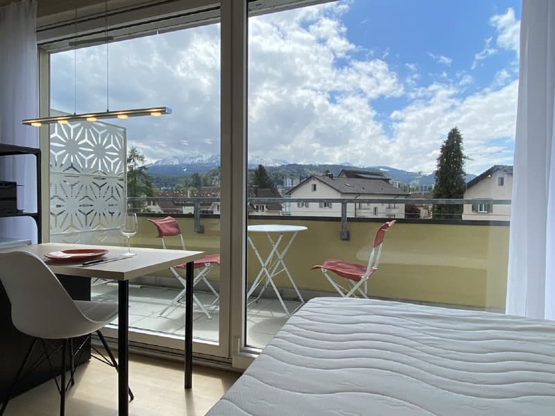 Appartement charmant 1 chambre avec balcon à Emmen – disponible immédiatement ! (2)