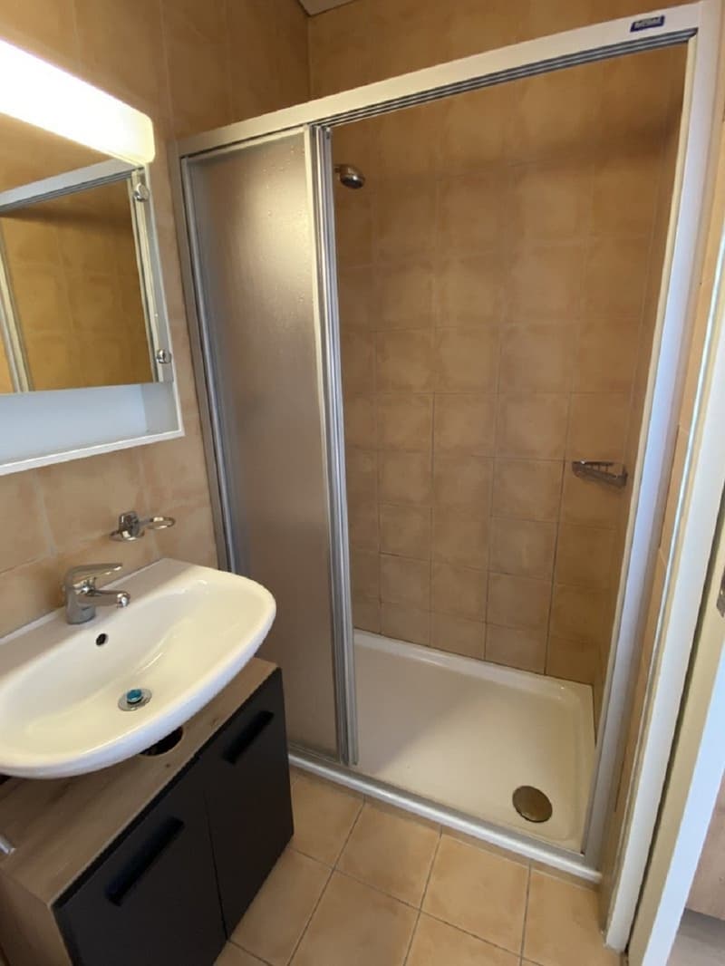 Appartement charmant 1 chambre avec balcon à Emmen – disponible immédiatement ! (3)
