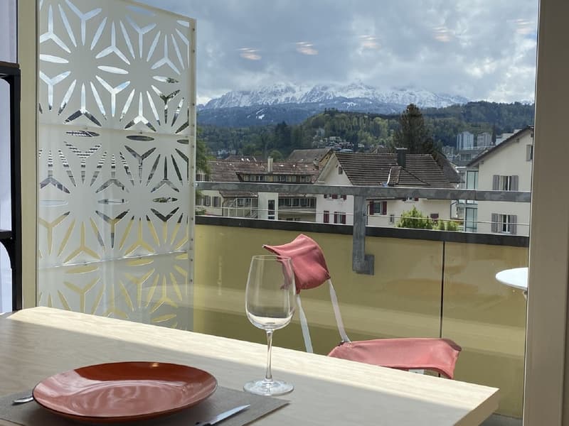 Appartement charmant 1 chambre avec balcon à Emmen – disponible immédiatement ! (7)