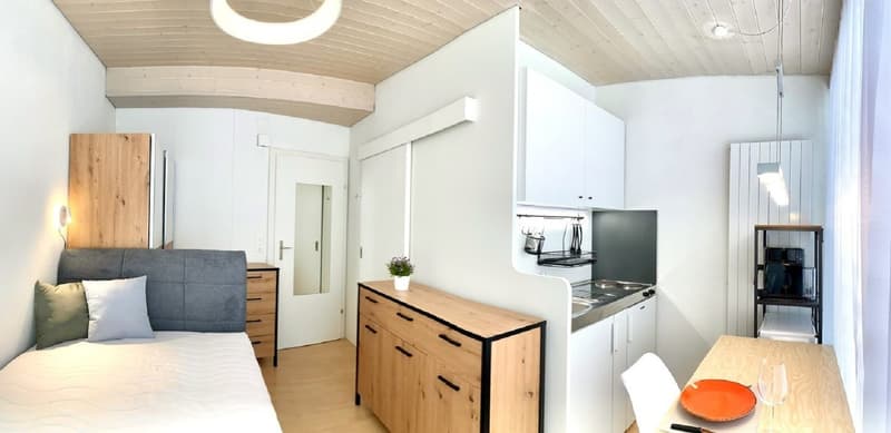 Appartement charmant 1 chambre avec balcon à Emmen – disponible immédiatement ! (1)