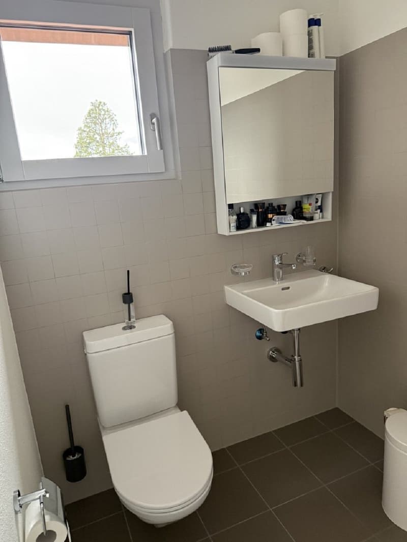 Appartamento moderno 1 camera con balcone a Soletta – disponibile immediatamente! (10)