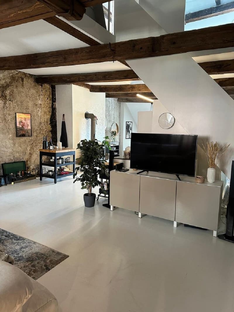 Charmant appartement 3 pièces sur la Rathausgasse à Aarau (4)