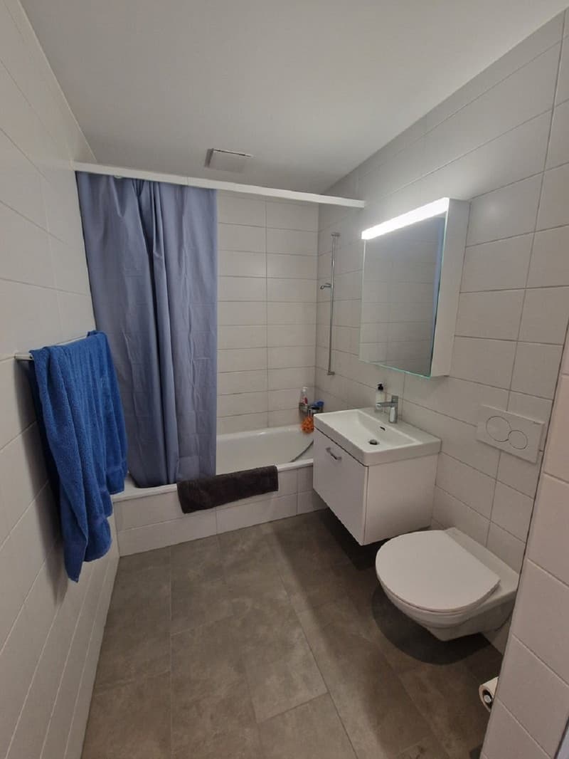 Helle 2.5-Zimmer-Wohnung mit Balkon in Luzern – sofort verfügbar! (2)